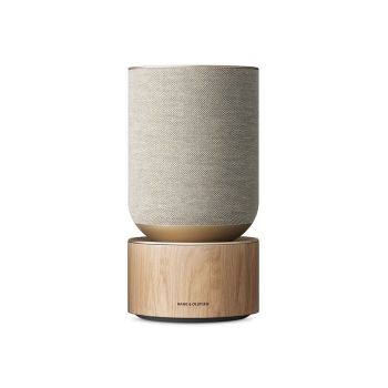 Peak Wireless Outdoor Speaker Subwoofer